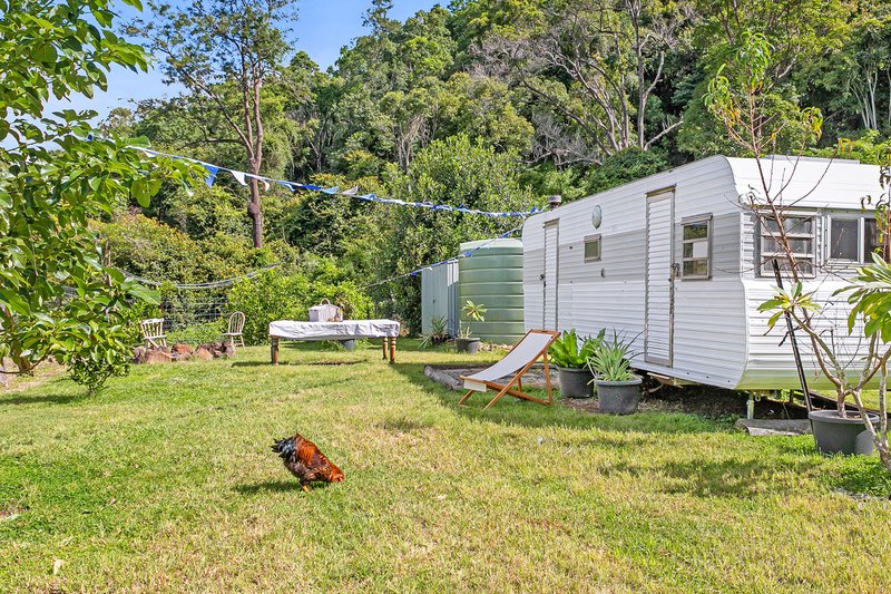 Photo - Lot 52 Curtis Road, Canungra QLD 4275 - Image 24