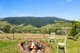 Photo - Lot 52 Curtis Road, Canungra QLD 4275 - Image 25