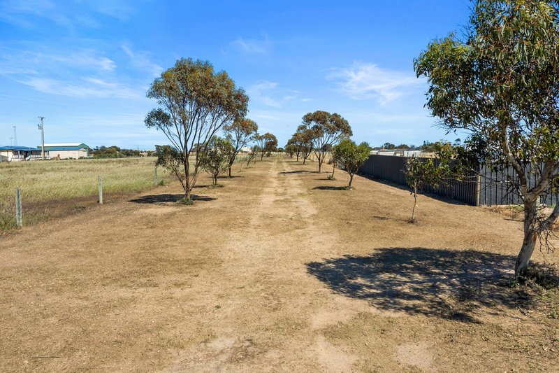 Photo - Lot 52 Investigator Road, Port Victoria SA 5573 - Image 23