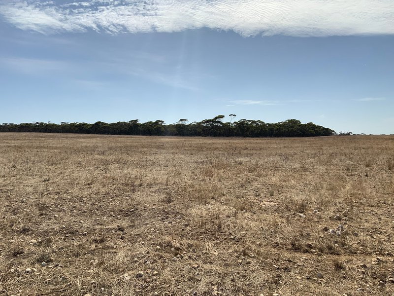 Photo - Lot 52 Morrell Road, Ettrick SA 5253 - Image 5