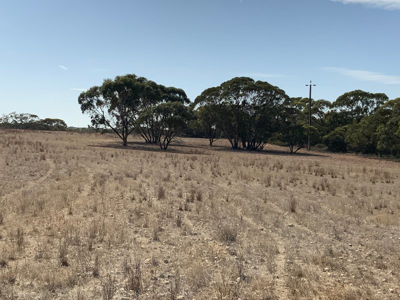 Photo - Lot 52 Morrell Road, Ettrick SA 5253 - Image 6