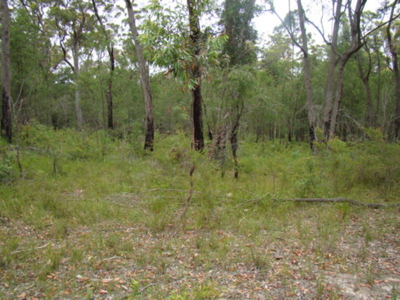 Photo - Lot 522 Lusitania Avenue, Basin View NSW 2540 - Image 2