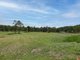 Photo - Lot 5/24 Yabsleys Lane, South Kempsey NSW 2440 - Image 22