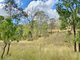 Photo - Lot 53 Tim Shea Creek Road, Wengenville QLD 4615 - Image 5