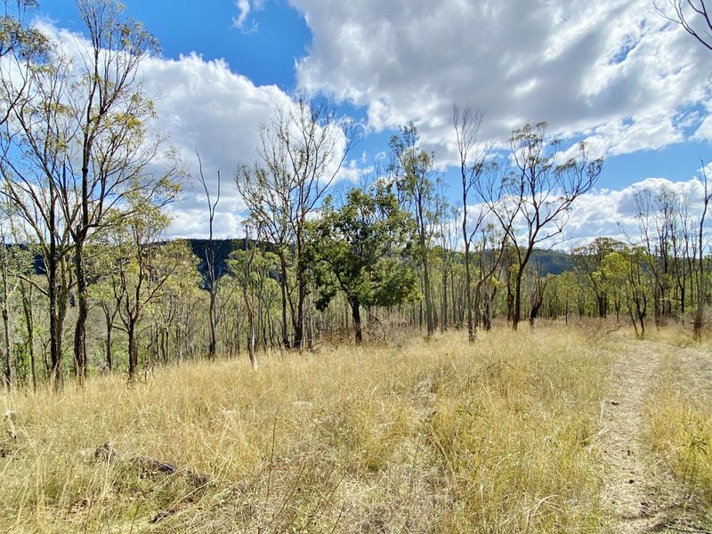 Photo - Lot 53 Tim Shea Creek Road, Wengenville QLD 4615 - Image 7