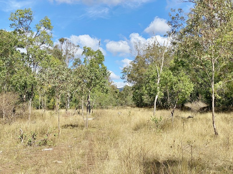 Photo - Lot 53 Tim Shea Creek Road, Wengenville QLD 4615 - Image 8