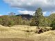 Photo - Lot 53 Tim Shea Creek Road, Wengenville QLD 4615 - Image 9