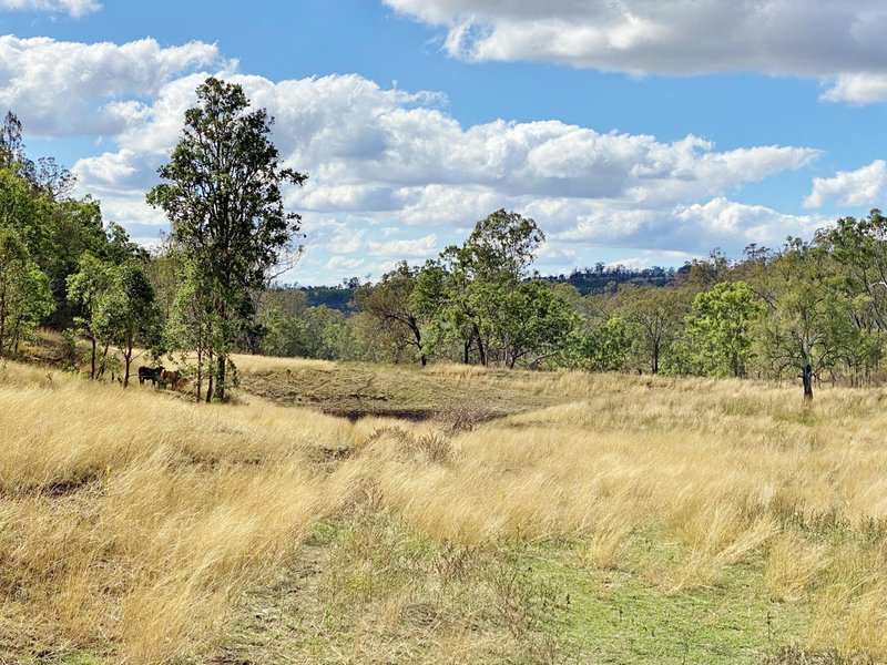 Photo - Lot 53 Tim Shea Creek Road, Wengenville QLD 4615 - Image 10