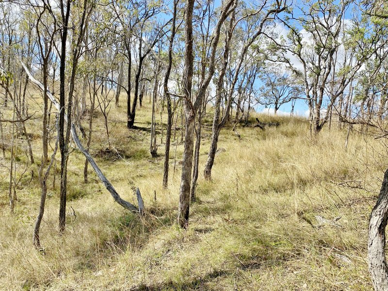 Photo - Lot 53 Tim Shea Creek Road, Wengenville QLD 4615 - Image 12