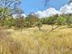 Photo - Lot 53 Tim Shea Creek Road, Wengenville QLD 4615 - Image 13