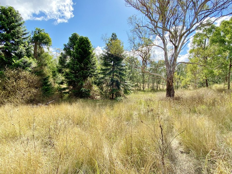 Photo - Lot 53 Tim Shea Creek Road, Wengenville QLD 4615 - Image 14