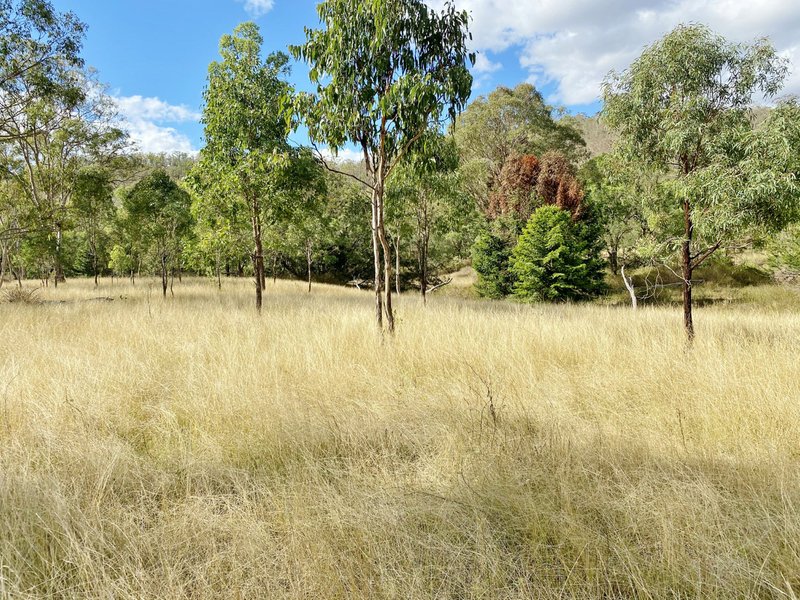 Photo - Lot 53 Tim Shea Creek Road, Wengenville QLD 4615 - Image 15