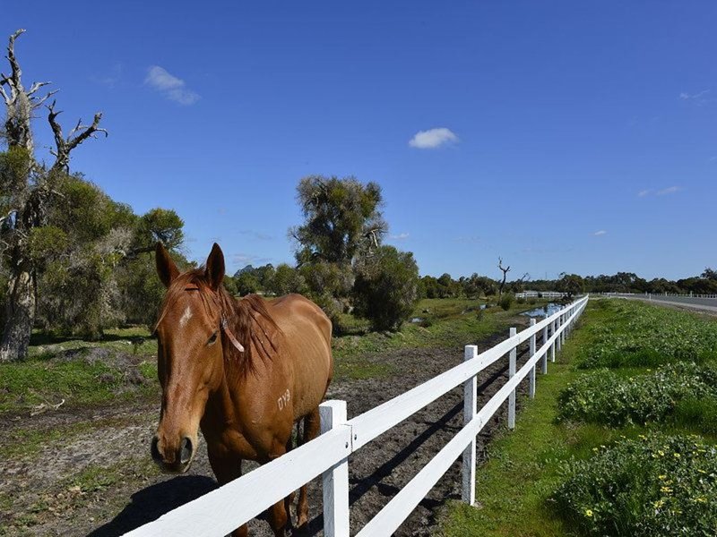 Lot 534 Hero Court, Nambeelup WA 6207