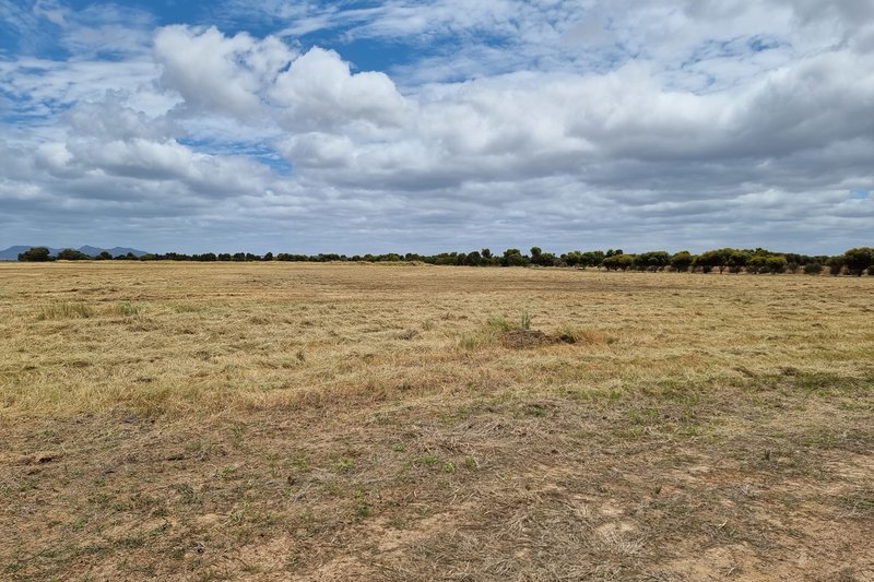 Photo - Lot 537/ Acacia Drive, Hopetoun WA 6348 - Image 16