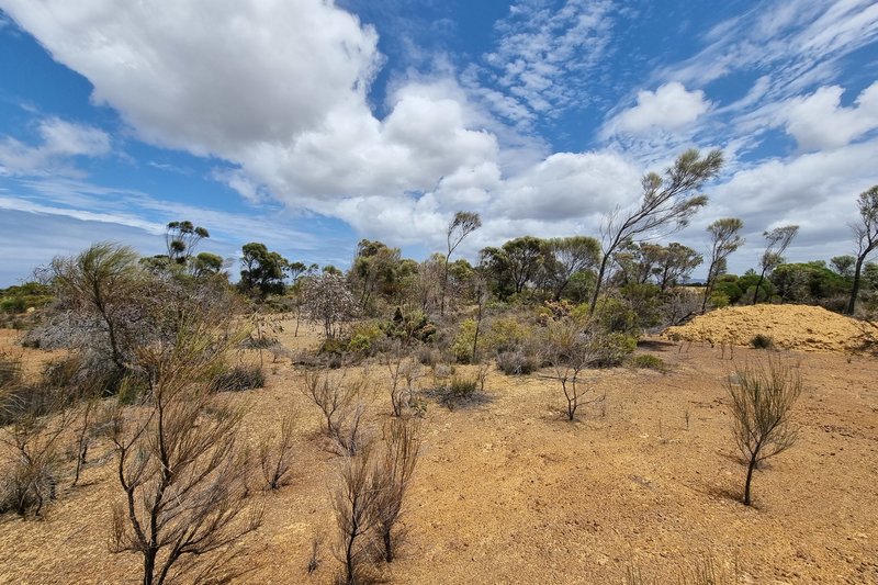 Photo - Lot 537/ Acacia Drive, Hopetoun WA 6348 - Image 23