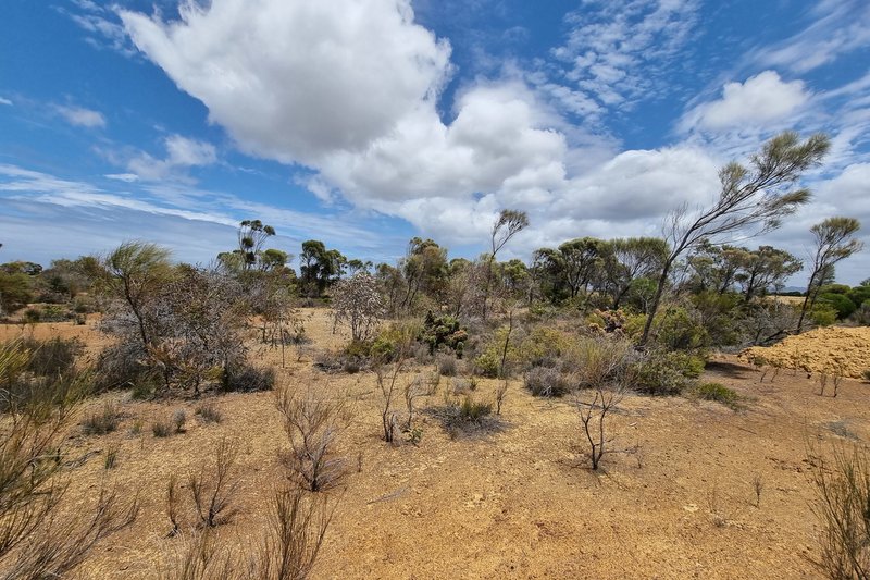 Photo - Lot 537/ Acacia Drive, Hopetoun WA 6348 - Image 24