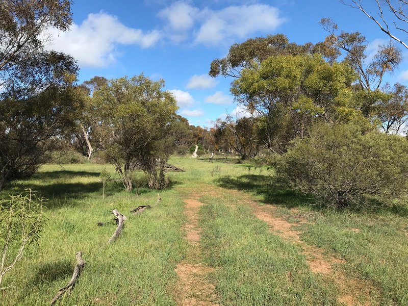 Photo - Lot 54 Bussenschutt Road, Cunliffe SA 5554 - Image 5