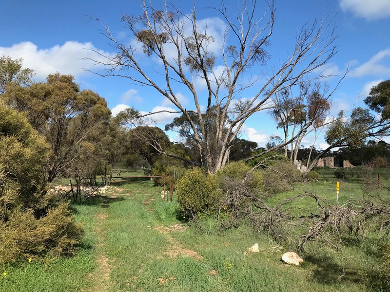 Photo - Lot 54 Bussenschutt Road, Cunliffe SA 5554 - Image 6