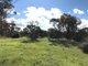 Photo - Lot 54 Bussenschutt Road, Cunliffe SA 5554 - Image 7