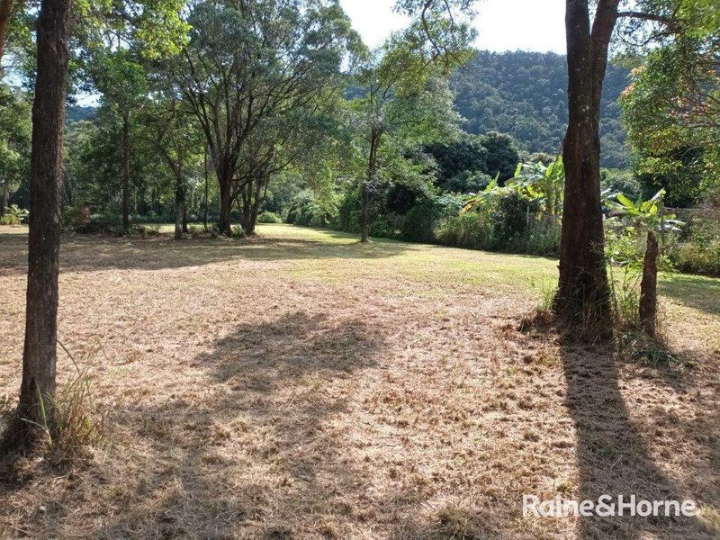 Lot 54 George Road, Forest Creek , Daintree QLD 4873