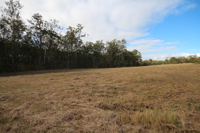 Photo - Lot 555 Arborcrescent Road, Glenwood QLD 4570 - Image 3