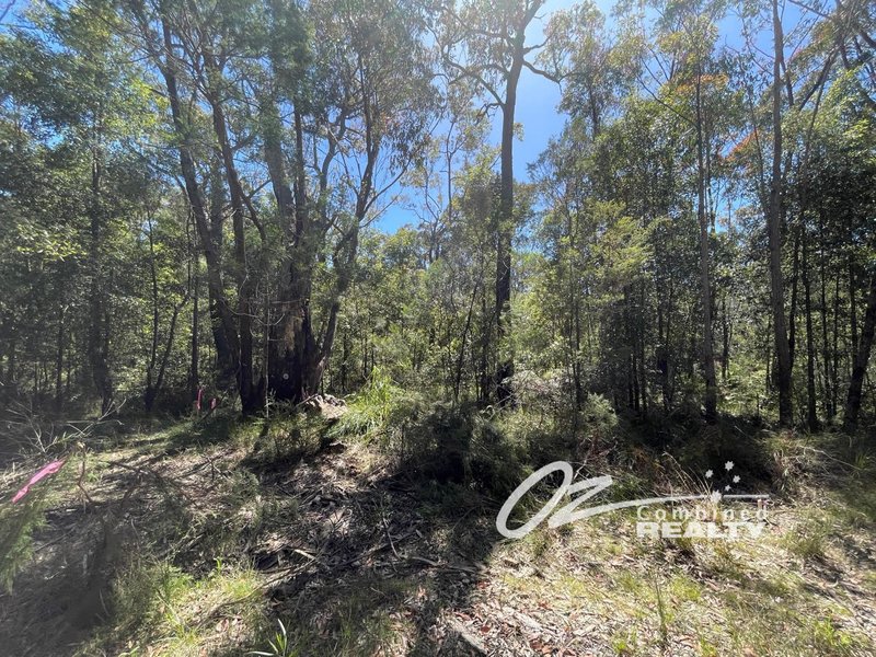 Photo - Lot 557 Atherton Road, Basin View NSW 2540 - Image 2