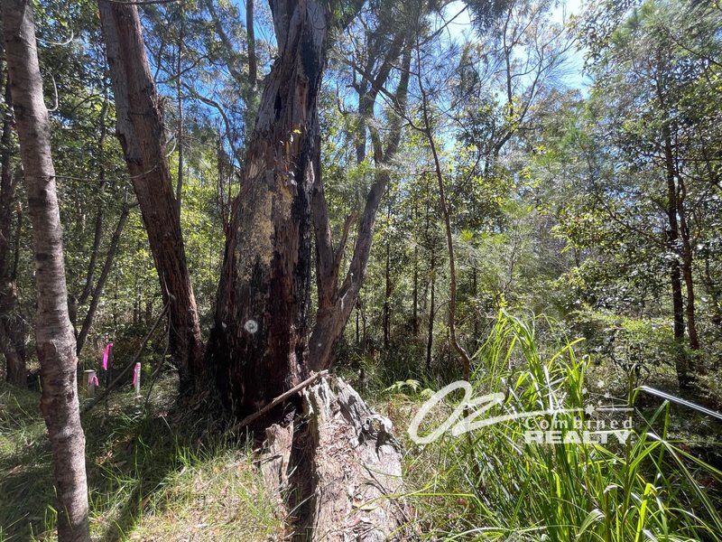 Photo - Lot 557 Atherton Road, Basin View NSW 2540 - Image 3