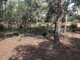 Photo - Lot 562/785 Jacoby Street, Mahogany Creek WA 6072 - Image 9