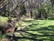 Photo - Lot 567 East Nannup Road, Nannup WA 6275 - Image 3