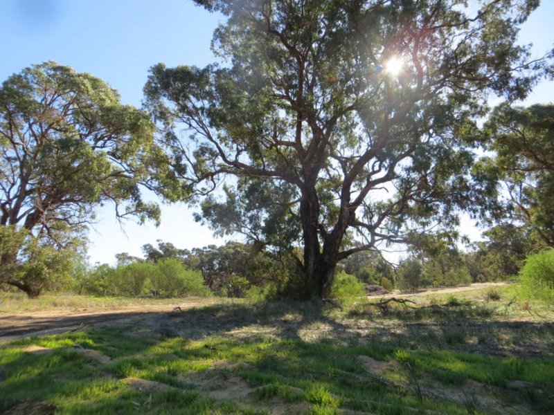 Photo - Lot 57/ Cinnamon Meander, Two Rocks WA 6037 - Image 6