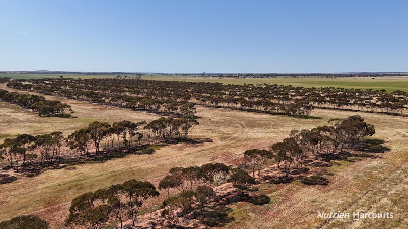 Photo - Lot 57 Snell Road, Nangeenan WA 6414 - Image 9