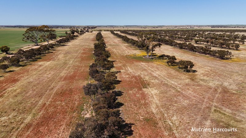 Photo - Lot 57 Snell Road, Nangeenan WA 6414 - Image 17