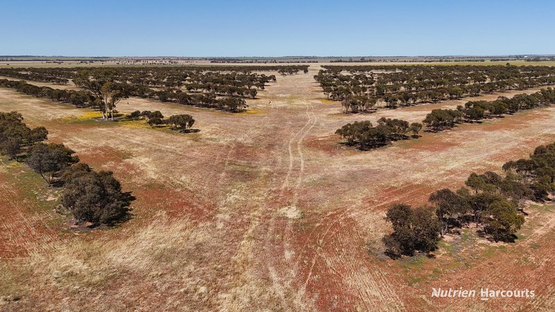 Photo - Lot 57 Snell Road, Nangeenan WA 6414 - Image 18