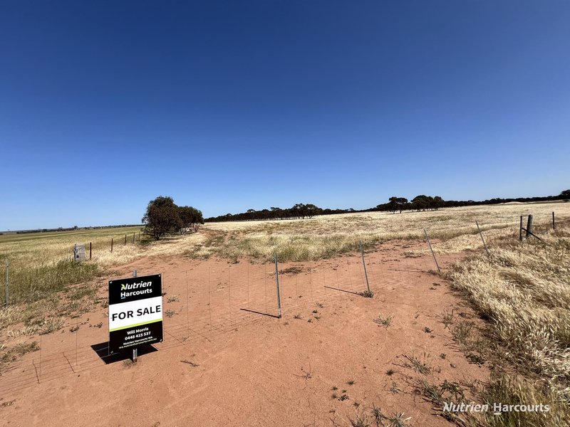 Photo - Lot 57 Snell Road, Nangeenan WA 6414 - Image 20