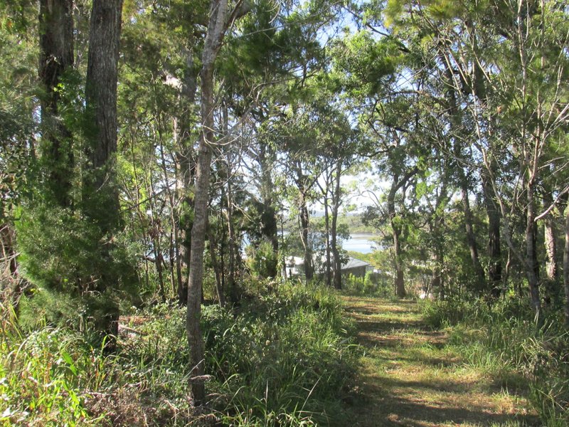 Photo - Lot 58, 5 Pandora Court, Macleay Island QLD 4184 - Image 3