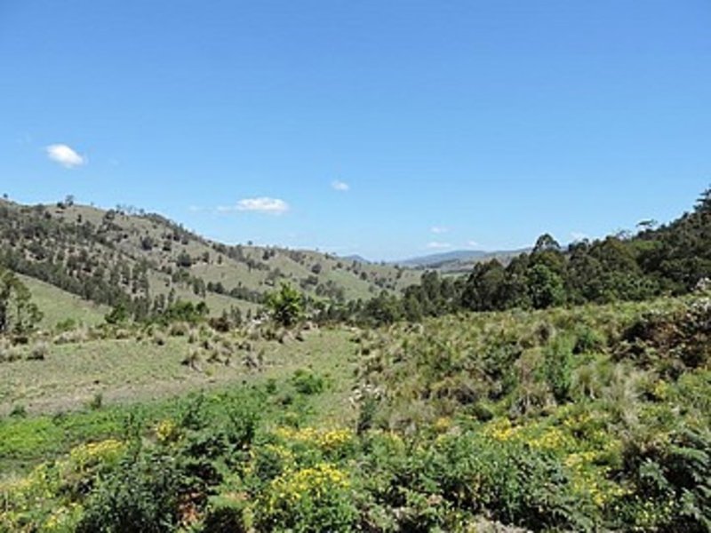 Photo - Lot 58/105 Carrowbrook Road, Singleton NSW 2330 - Image 1