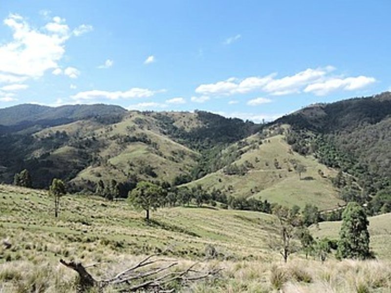 Photo - Lot 58/105 Carrowbrook Road, Singleton NSW 2330 - Image 3