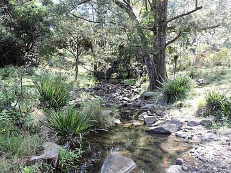 Photo - Lot 58/105 Carrowbrook Road, Singleton NSW 2330 - Image 4