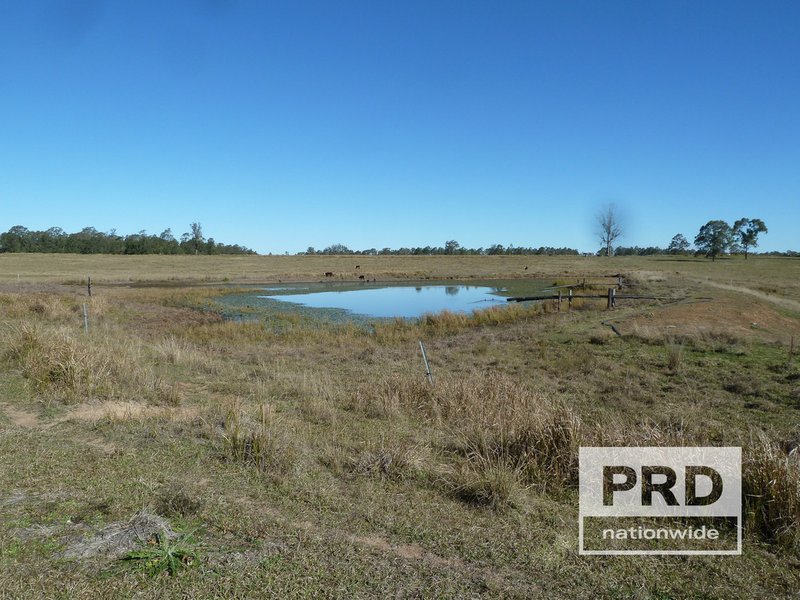 Photo - Lot 59 Summerland Way, Rappville NSW 2469 - Image 4