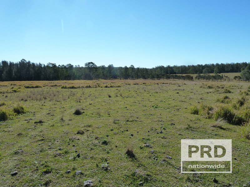 Photo - Lot 59 Summerland Way, Rappville NSW 2469 - Image 13