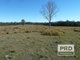 Photo - Lot 59 Summerland Way, Rappville NSW 2469 - Image 14