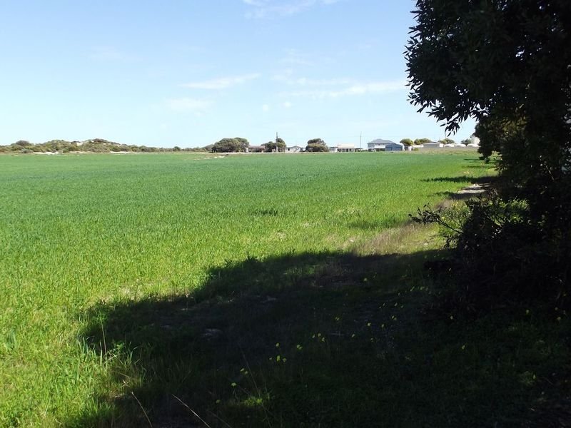 Photo - Lot 59 Swincer Avenue, Bluff Beach SA 5575 - Image 6