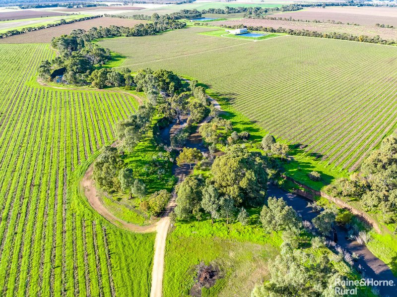 Photo - Lot 6 Angas Plains Road, Langhorne Creek SA 5255 - Image 4