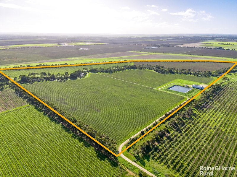 Photo - Lot 6 Angas Plains Road, Langhorne Creek SA 5255 - Image 8