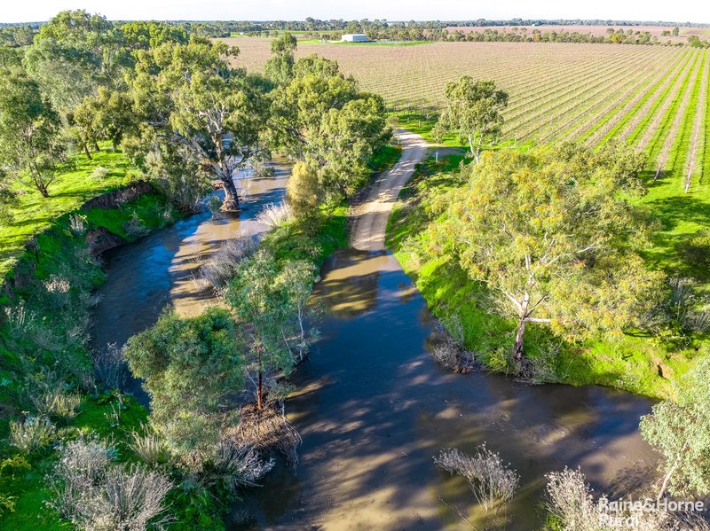 Photo - Lot 6 Angas Plains Road, Langhorne Creek SA 5255 - Image 27