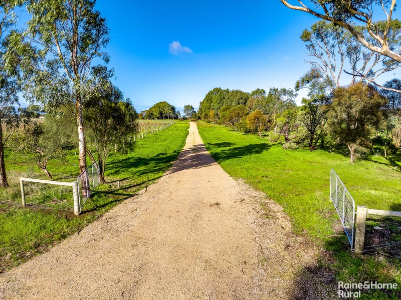 Photo - Lot 6 Angas Plains Road, Langhorne Creek SA 5255 - Image 29