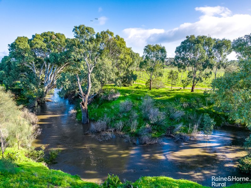 Photo - Lot 6 Angas Plains Road, Langhorne Creek SA 5255 - Image 33