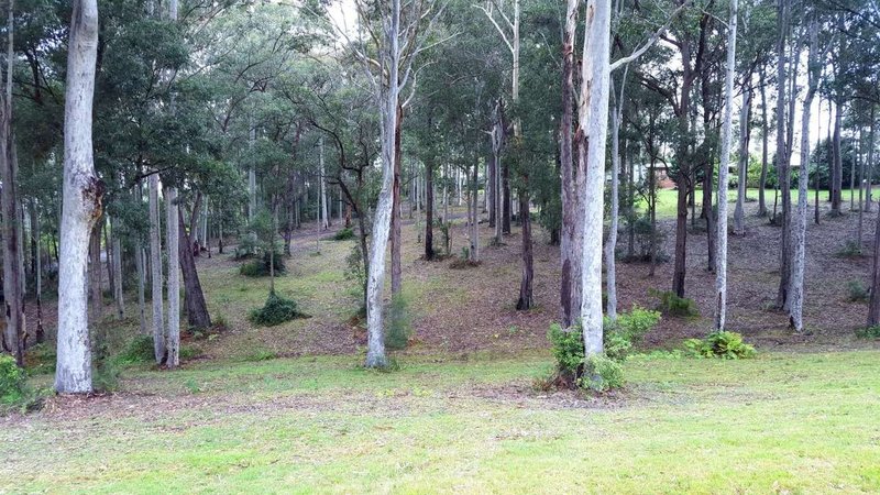 Photo - Lot 6 Barrakee Drive, Long Beach NSW 2536 - Image 7