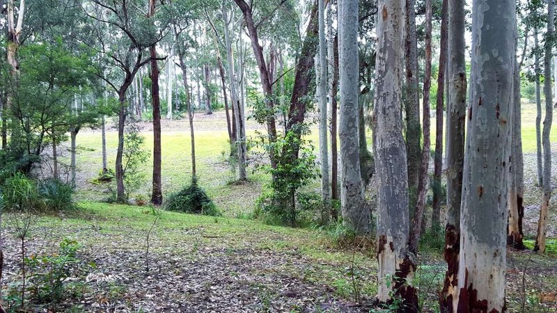 Photo - Lot 6 Barrakee Drive, Long Beach NSW 2536 - Image 11