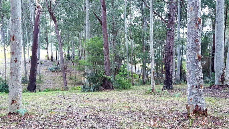 Photo - Lot 6 Barrakee Drive, Long Beach NSW 2536 - Image 14